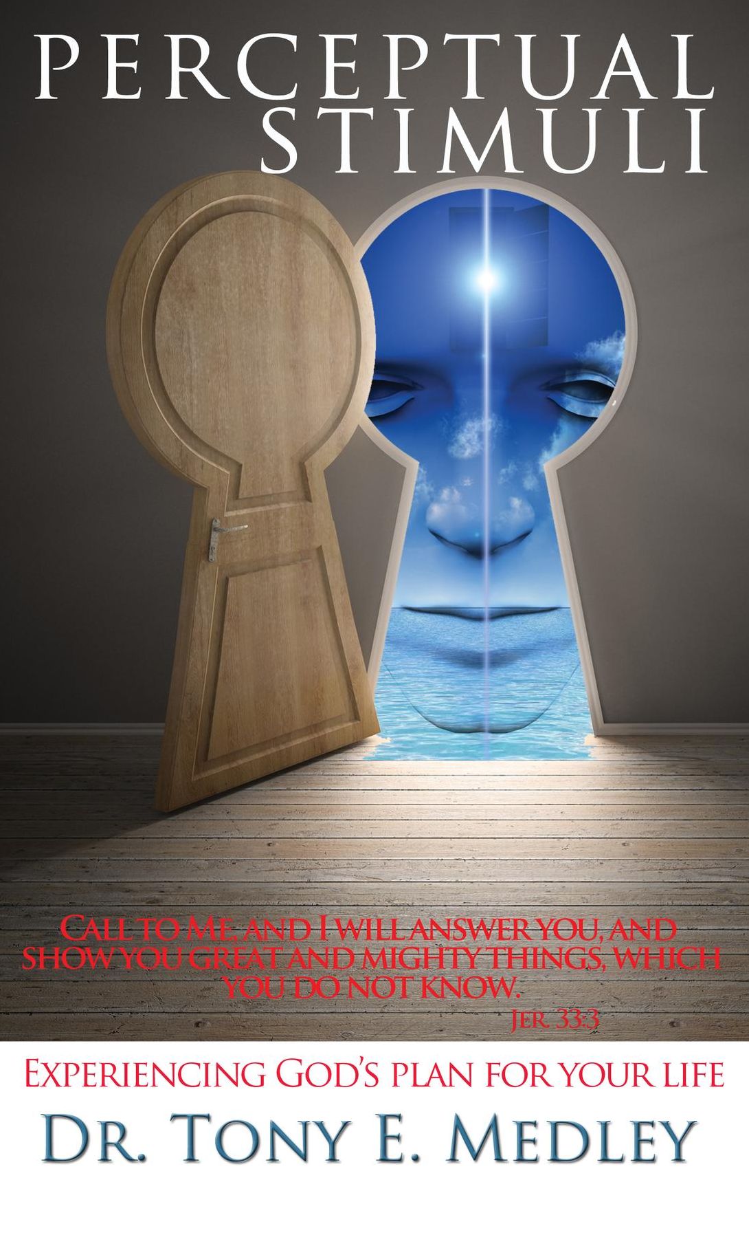 Perceptual Stimuli: Experiencing God's Plan for Your Life