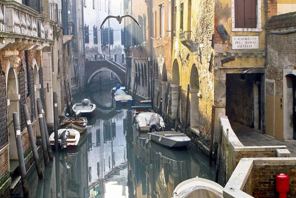Dream of Venice