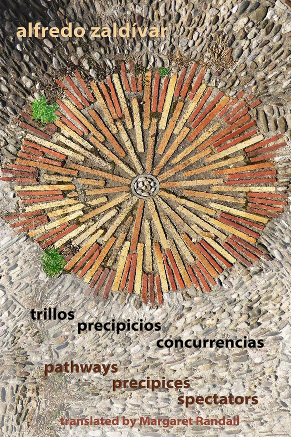 trillos / precipicios / concurrencias - pathways / precipices / spectators