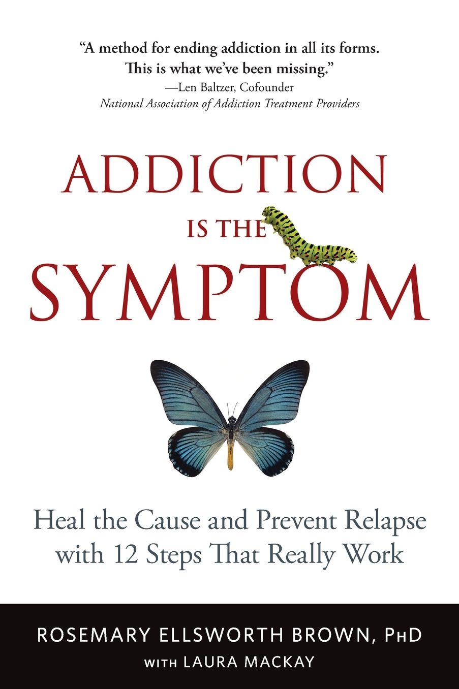 Addiction Is the Symptom: Heal the Cause and Prevent Relapse with 12 Steps That Really Work