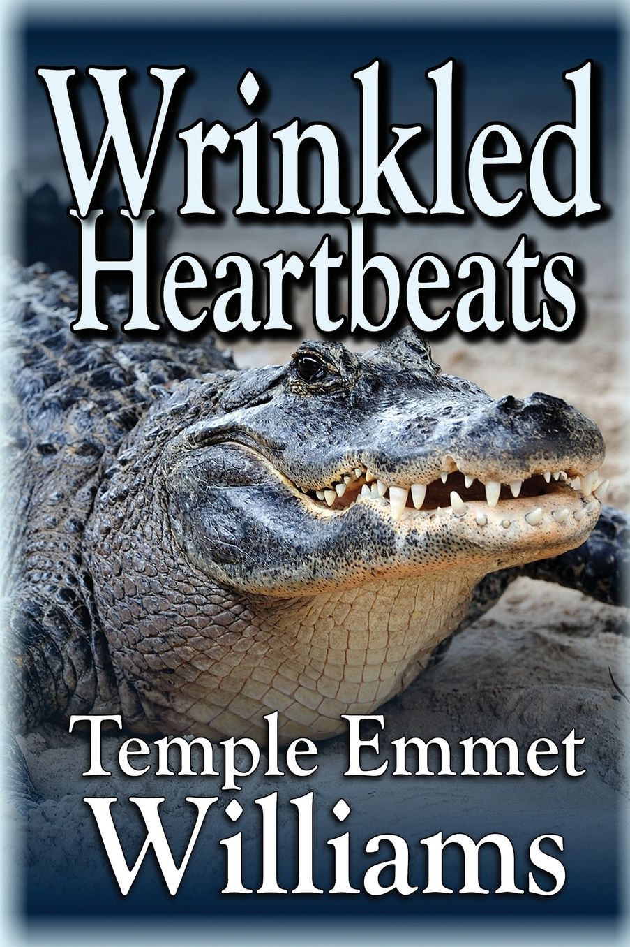 Wrinkled Heartbeats: A Novel
