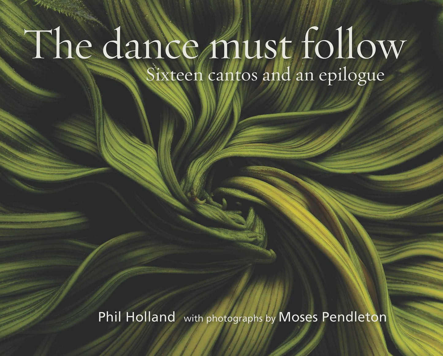 The Dance Must Follow: Sixteen Cantos and an Epilogue