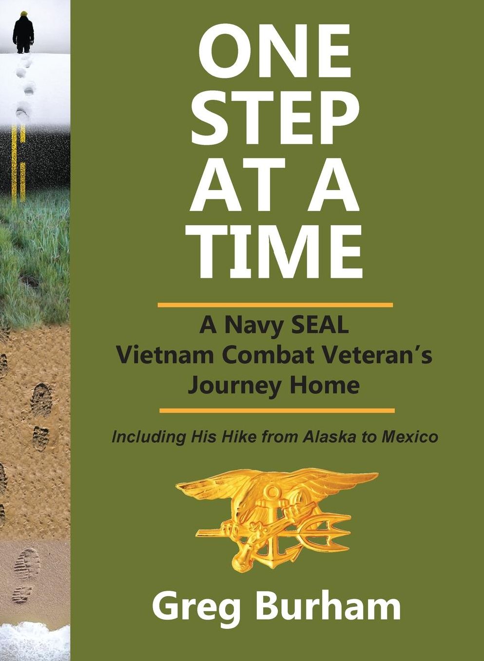 One Step at a Time: A Navy SEAL Vietnam Combat Veteran's Journey Home
