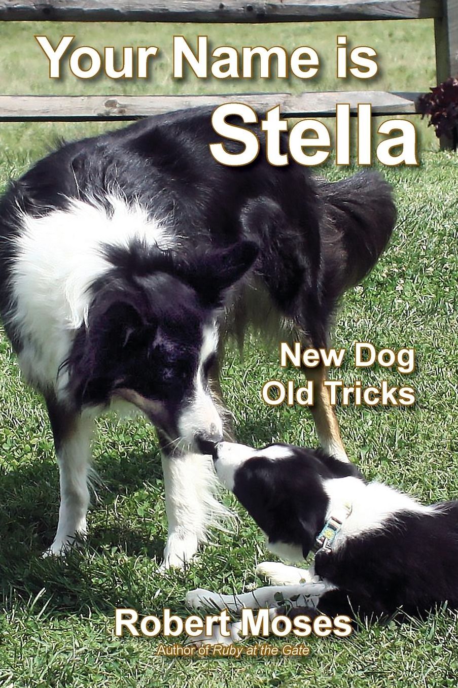 Your Name is Stella