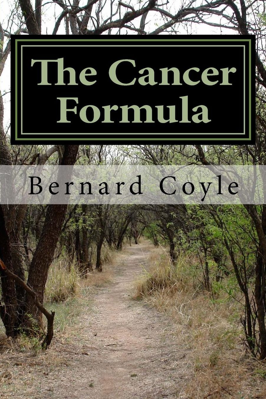 The Cancer Formula: My wife's and my journey with cancer and my observations about the causes and cures for cancer