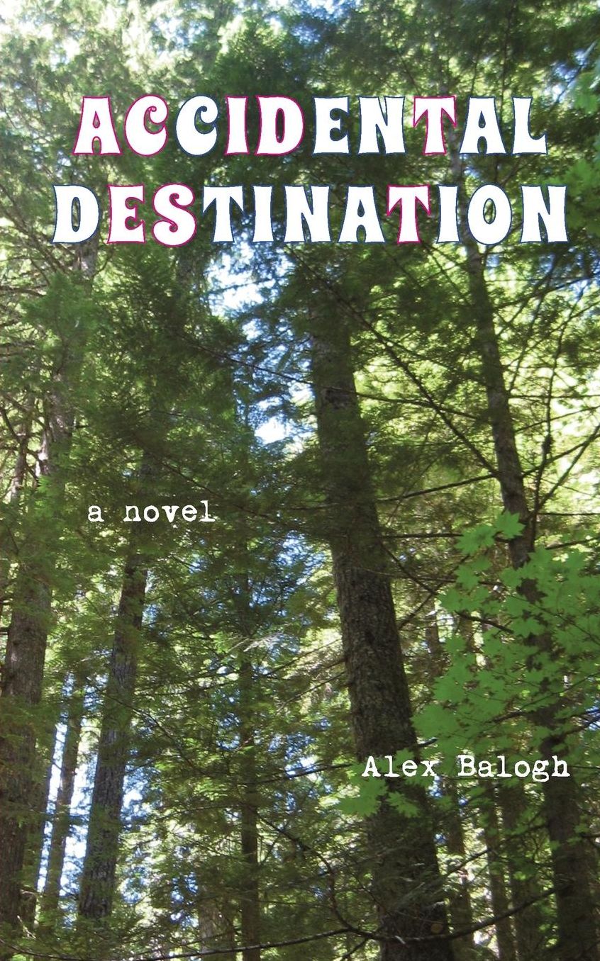 Accidental Destination