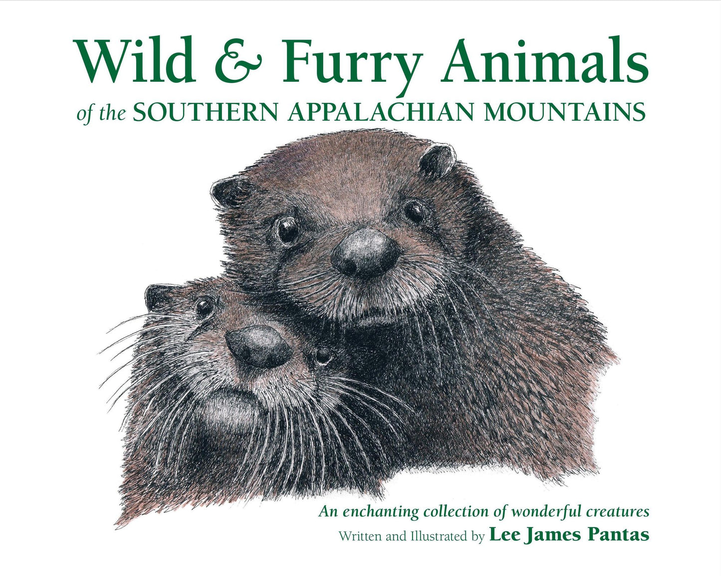 Wild & Furry Animals on the Southern Appalachian Mountains