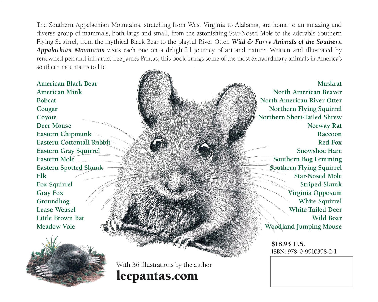 Wild & Furry Animals on the Southern Appalachian Mountains