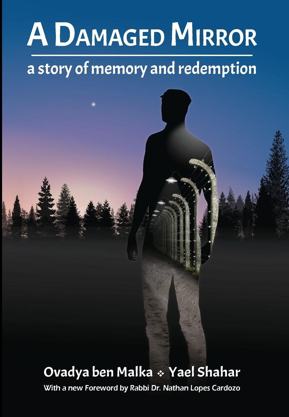 A Damaged Mirror: A story of memory and redemption