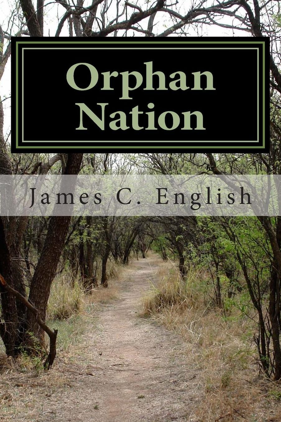 Orphan Nation: Why You Long For Home And How To Find It