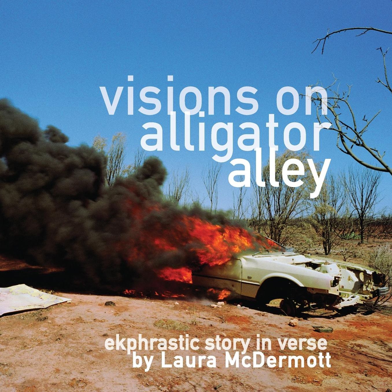 Visions on Alligator Alley: Ekphrastic story in verse