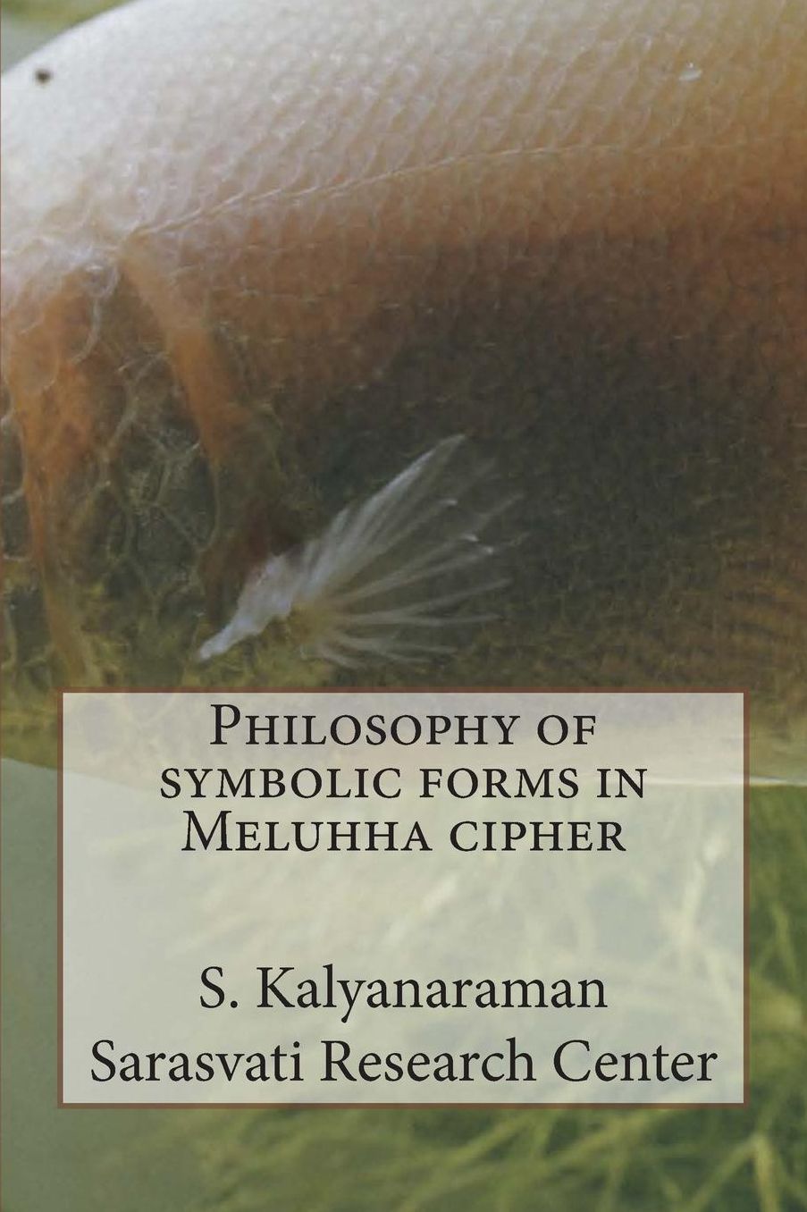 Philosophy of symbolic forms in Meluhha cipher