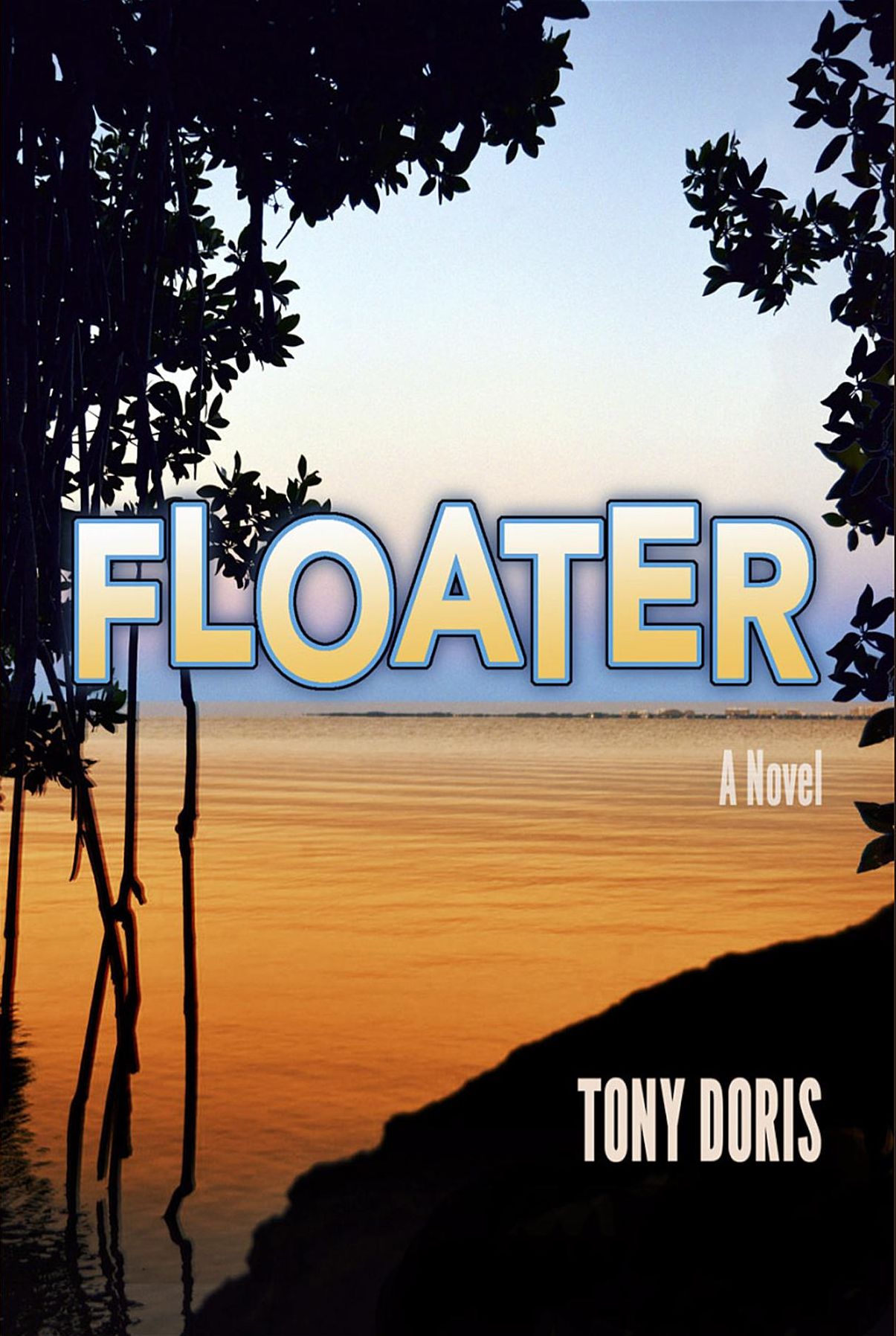 Floater: A Novel