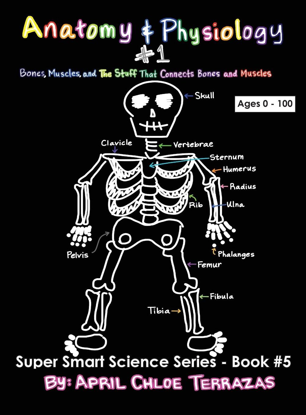 Anatomy & Physiology Part 1: Bones, Muscles, and The Stuff That Connects Bones and Muscles