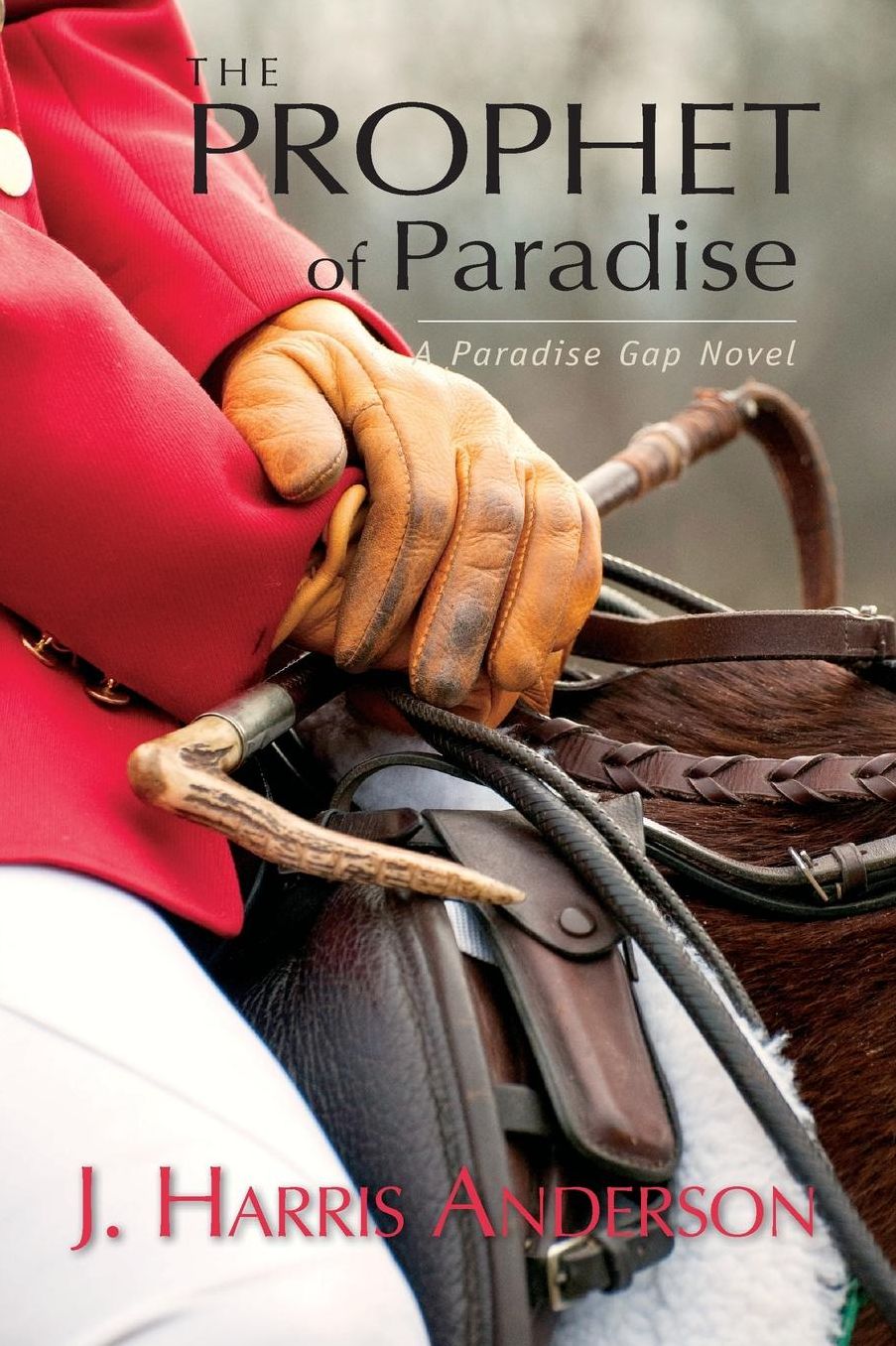 The Prophet of Paradise: A Paradise Gap Novel