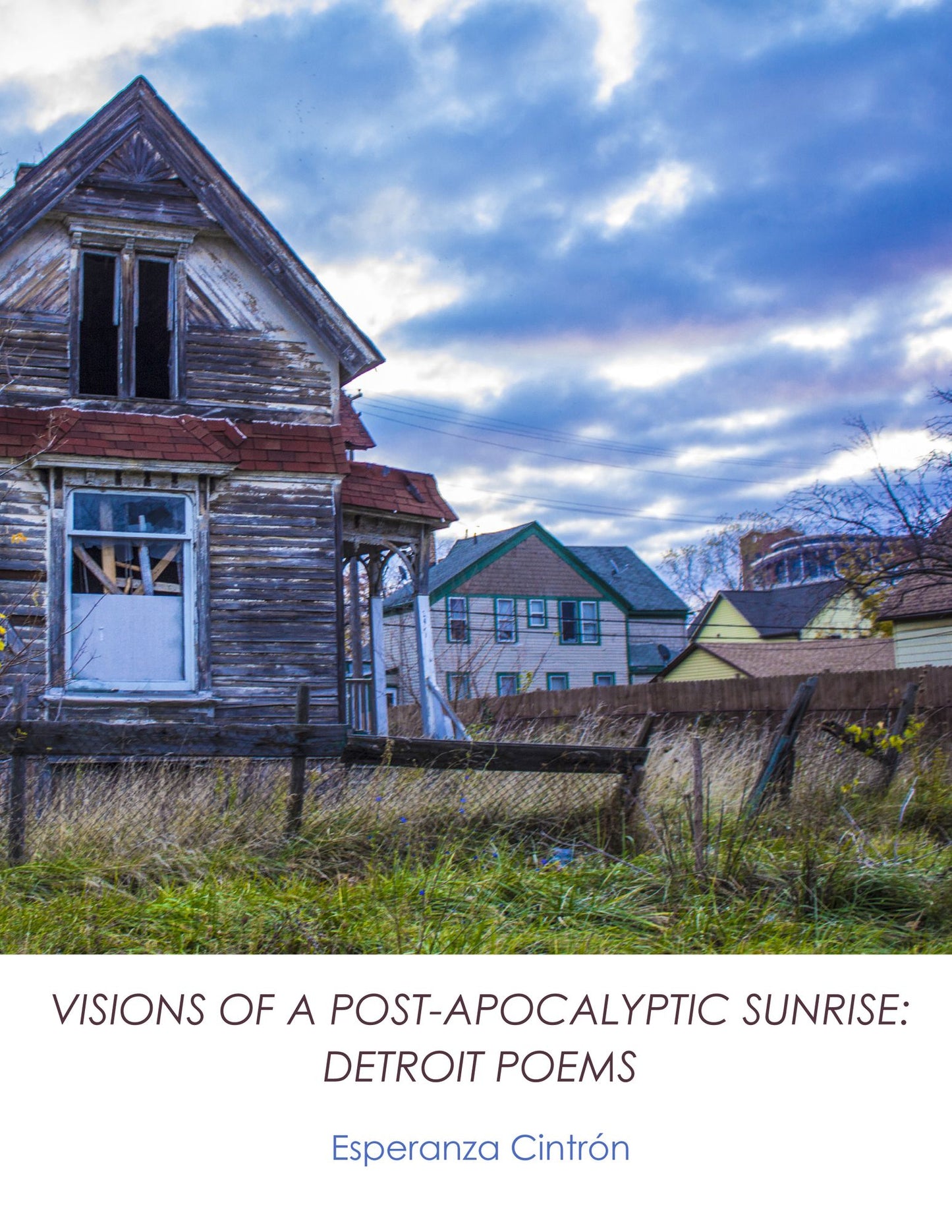 Visions of a Post-Apocalyptic Sunrise: Detroit Poems