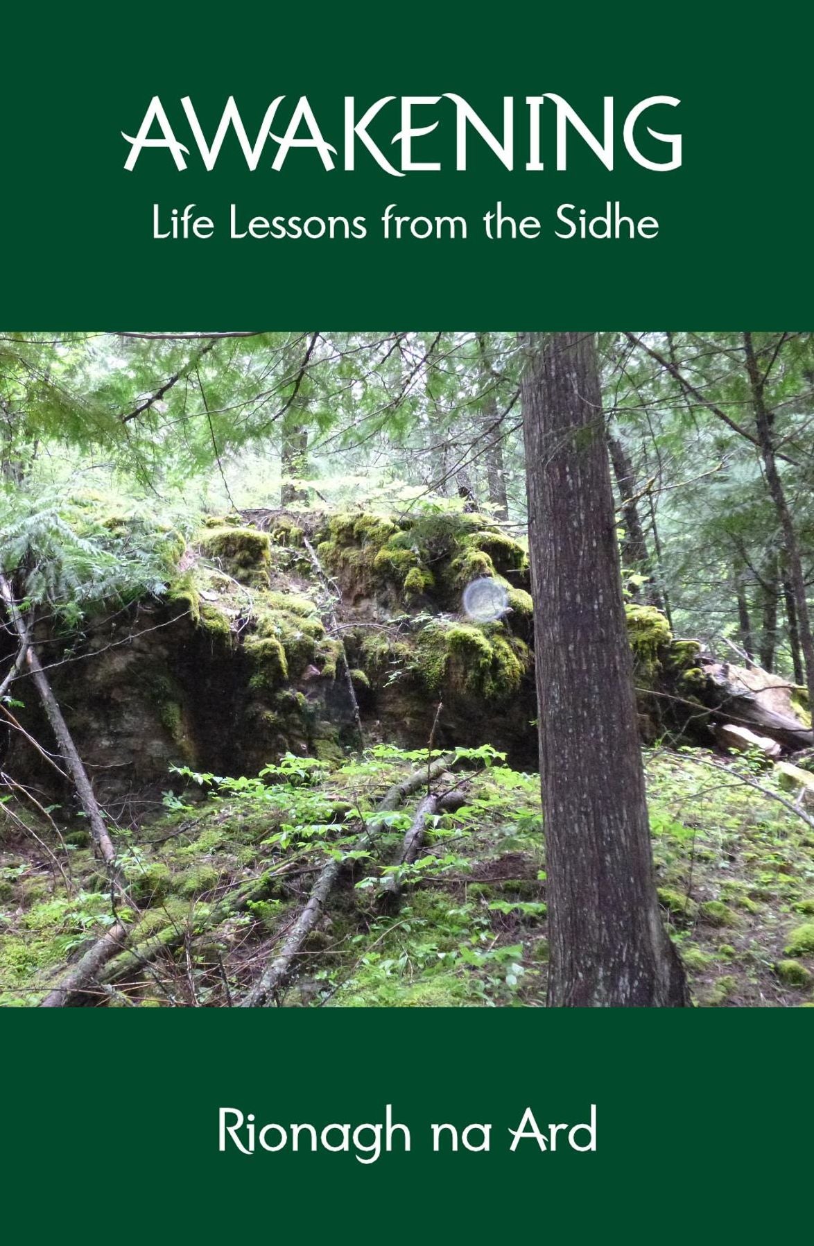 Awakening: Life Lessons from the Sidhe