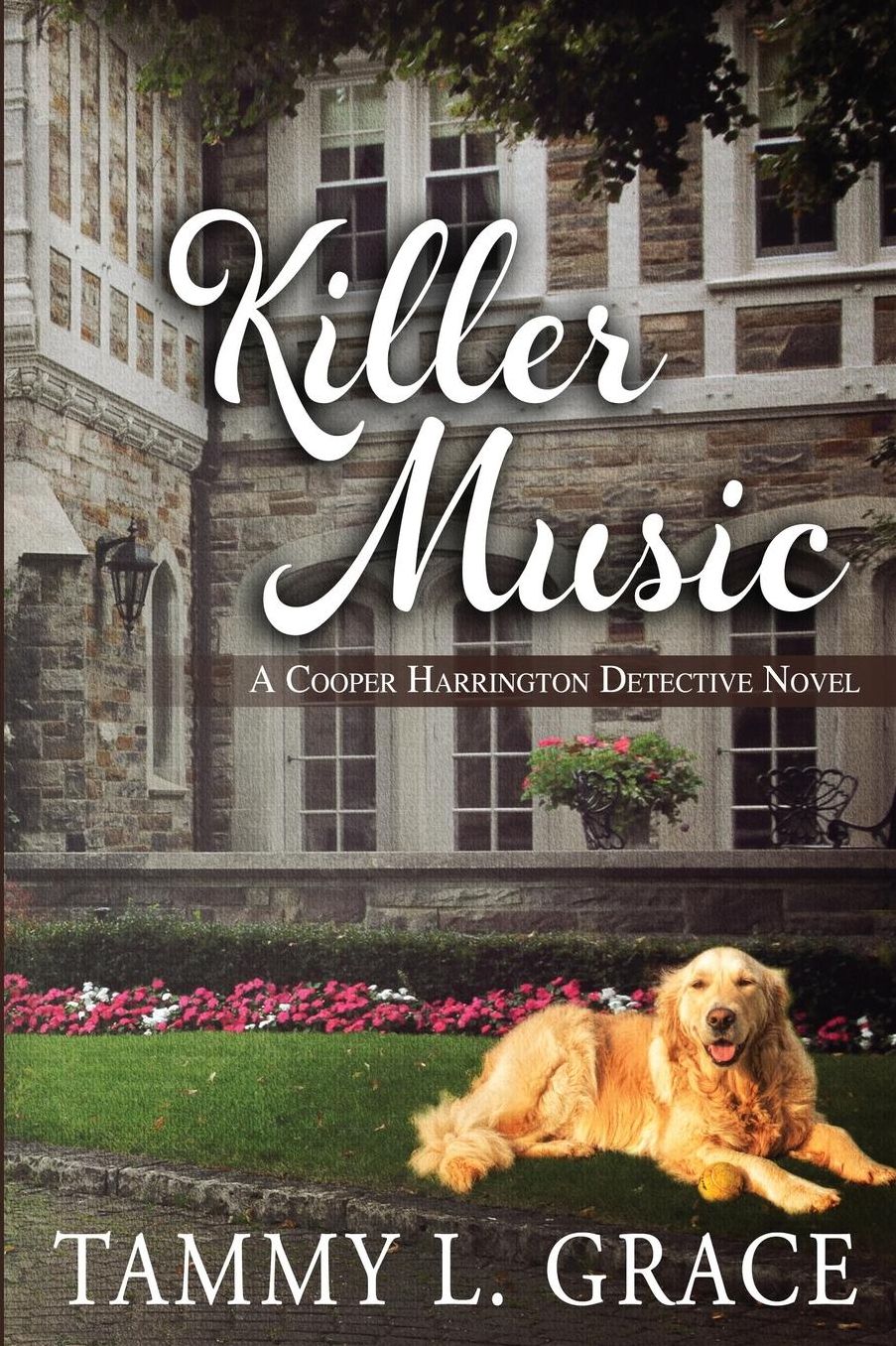 Killer Music: A Cooper Harrington Detective Novel