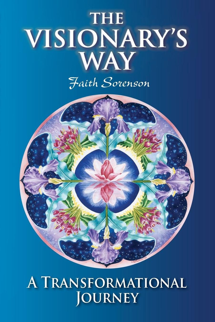 The Visionary's Way: A Transformational Journey