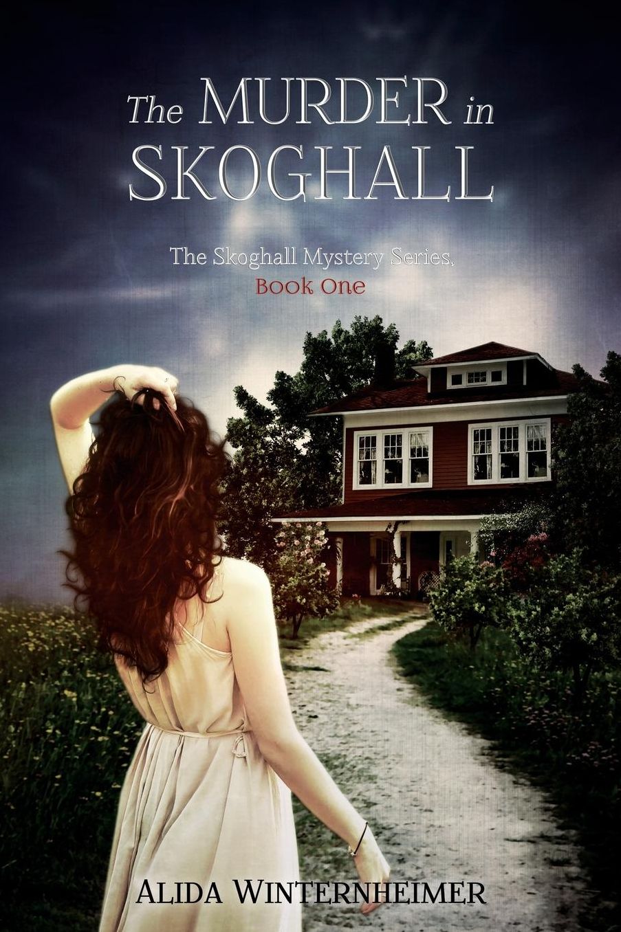 The Murder in Skoghall: A 28.5press Illustrated Novel