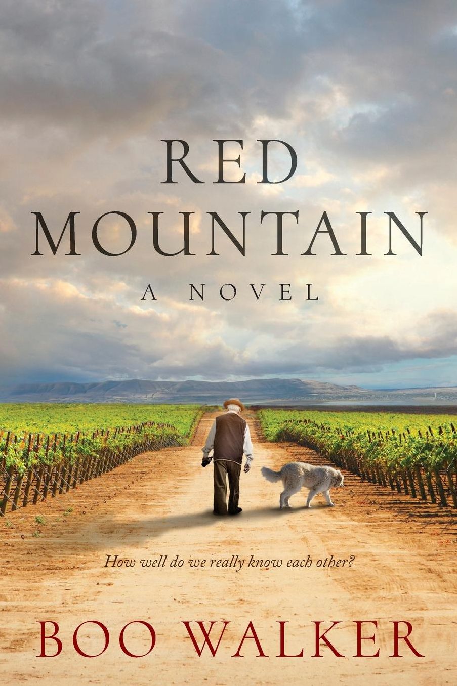 Red Mountain: A Vineyard Novel, Book 1 of 2