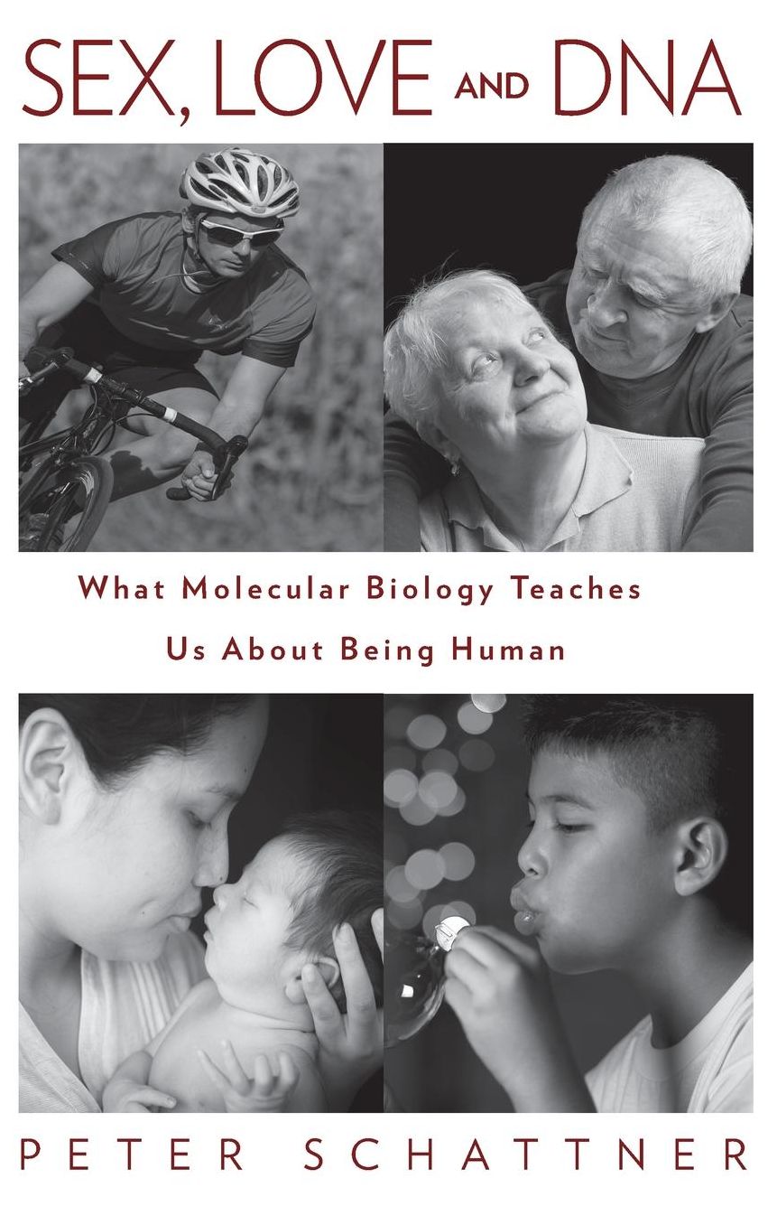 Sex, Love and DNA: What Molecular Biology Teaches Us About Being Human