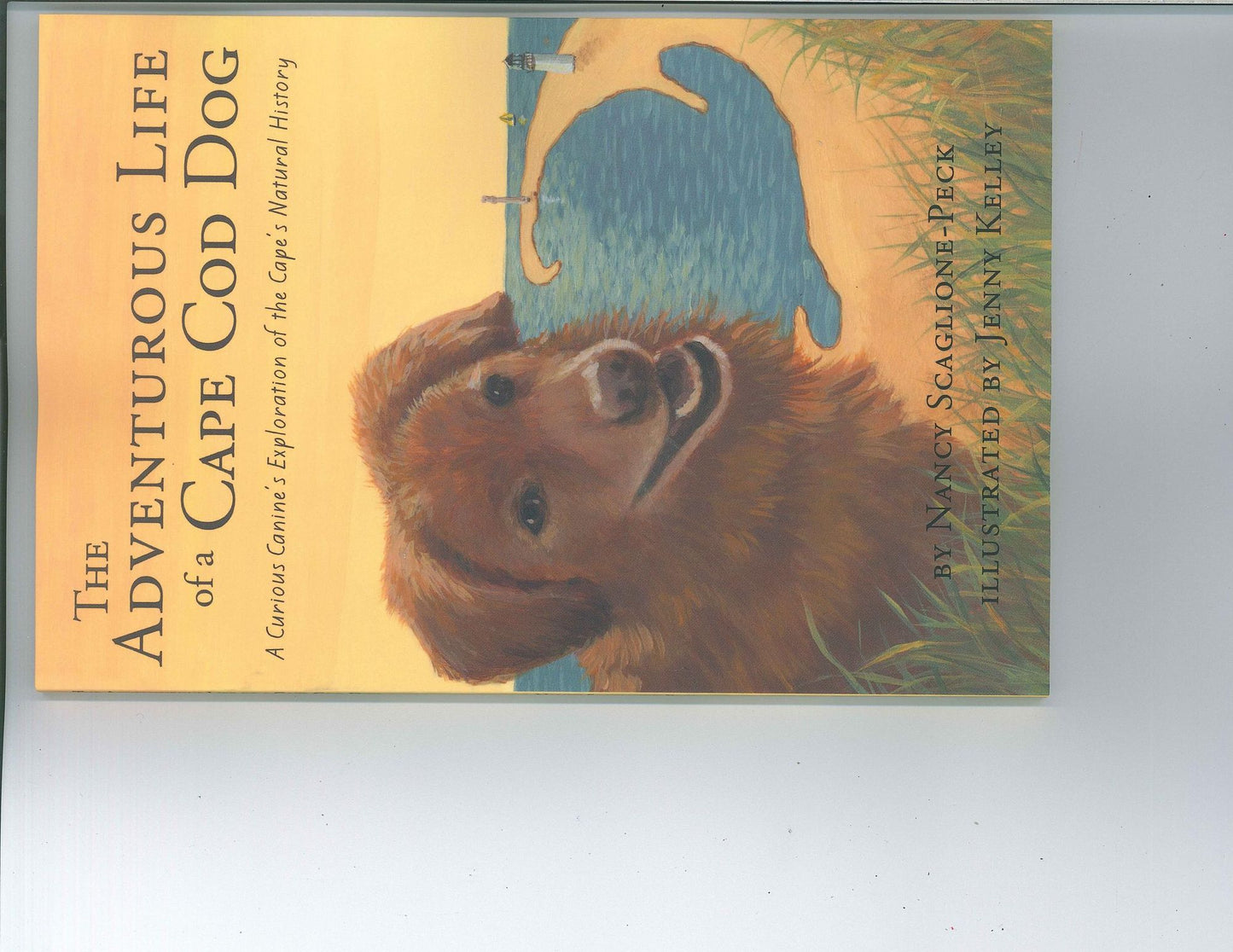 The Adventurous Life of a Cape Cod Dog: A Curious Canine's Exploration of the Cape's Natural History