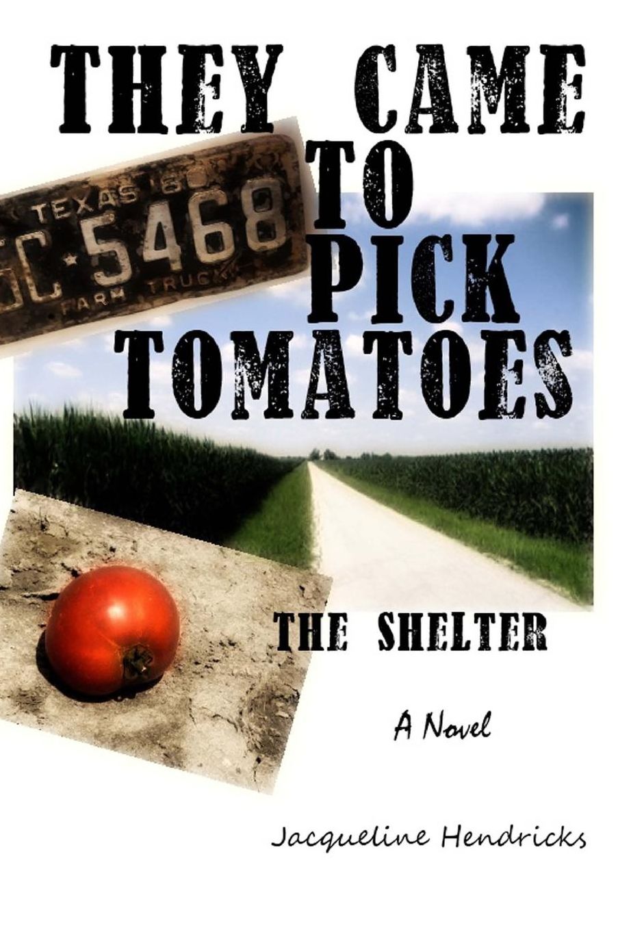 They Came to Pick Tomatoes, The Shelter