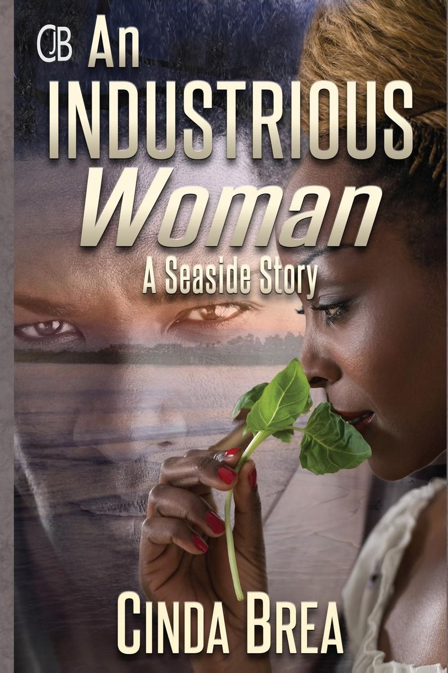 An Industrious Woman: A Seaside Story