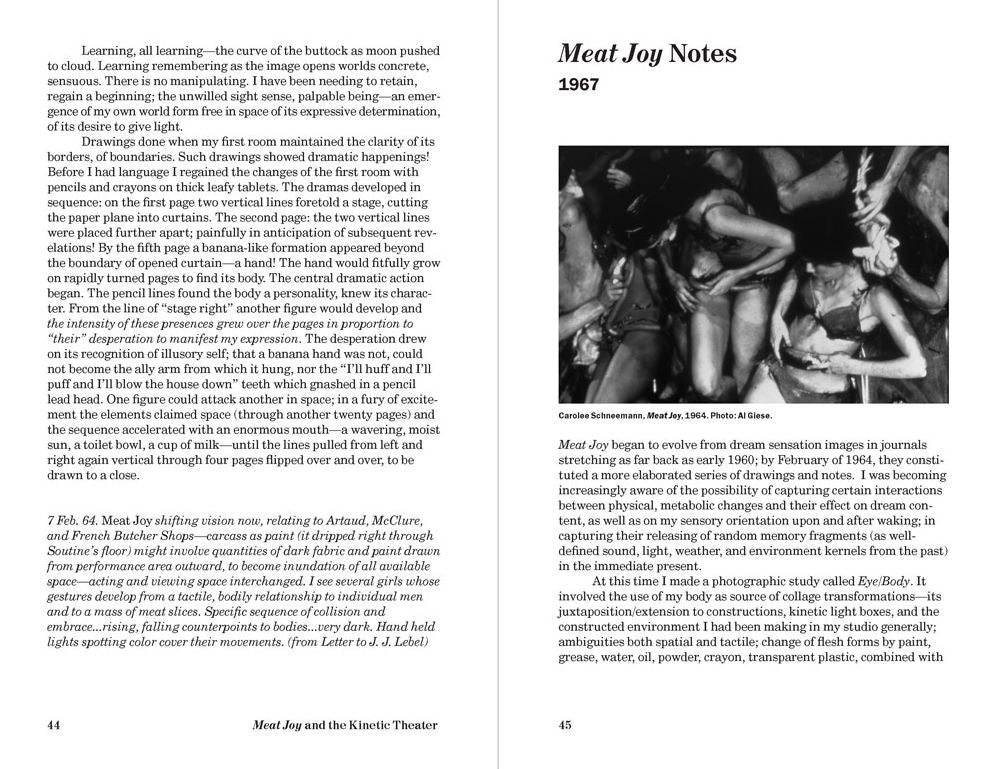 Carolee Schneemann: Uncollected Texts