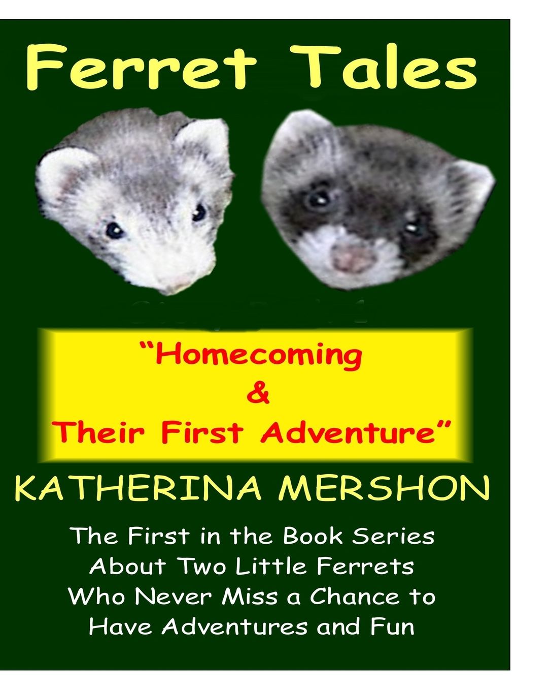 Ferret Tales - Story book 1: Homecoming & Their First Adventure