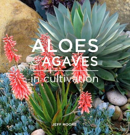 Aloes & Agaves in Cultivation