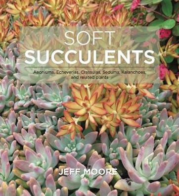 Soft Succulents: Aeoniums, Echeverias, Crassulas, Sedums, Kalanchoes, and Related Plants