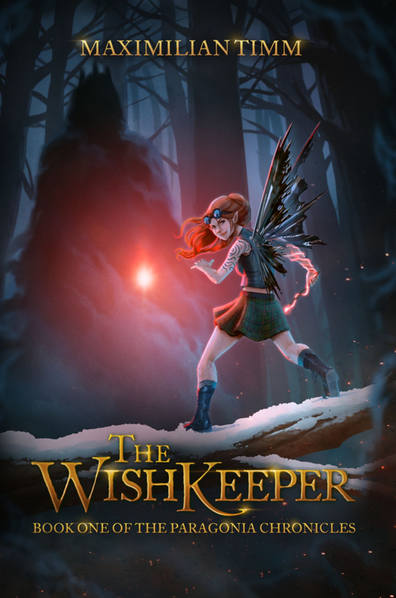 The WishKeeper: Book One of The Paragonia Chronicles