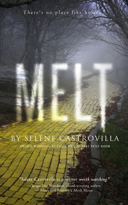 MELT: Book One of the Rough Romance Trilogy