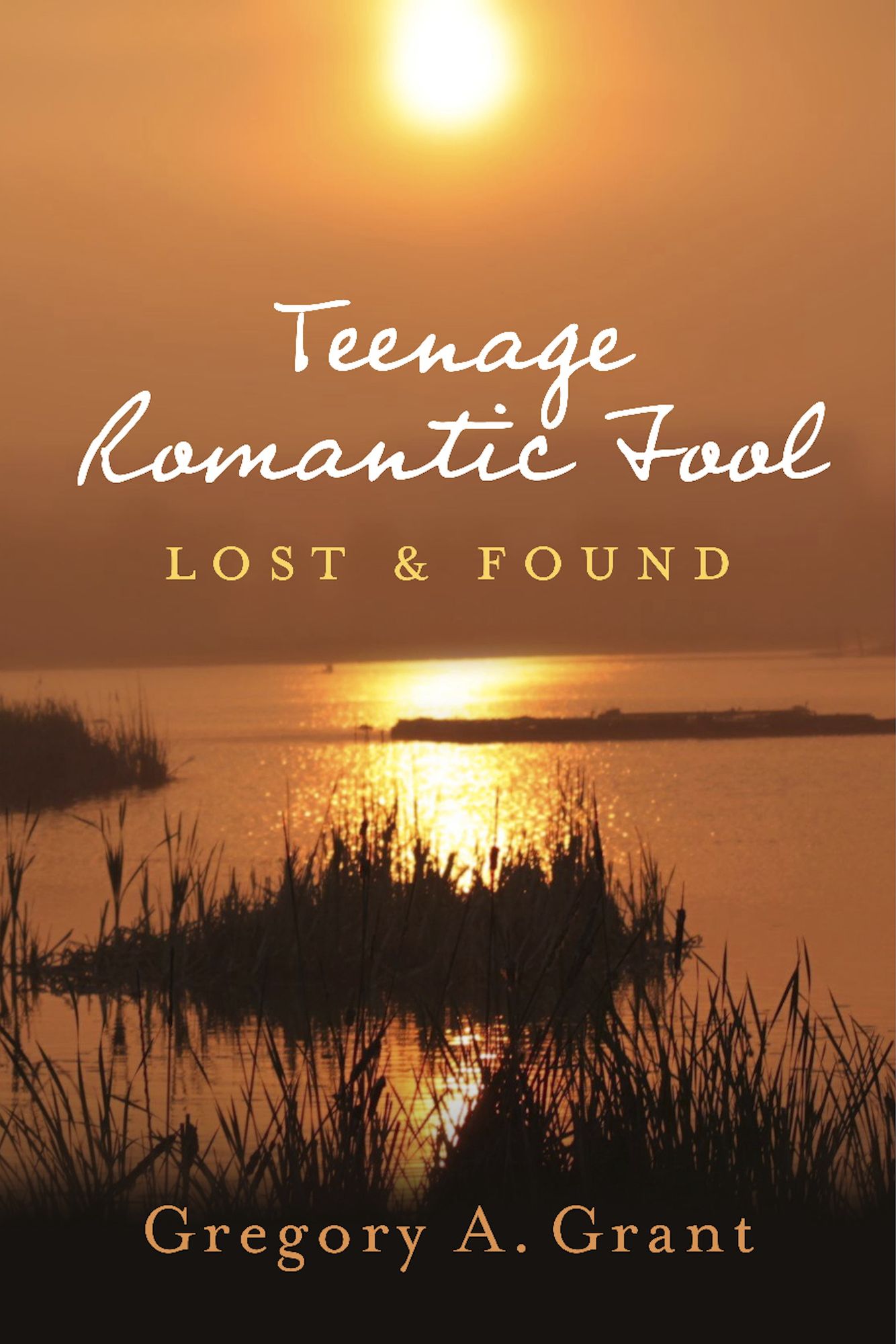 Teenage Romantic Fool: Lost & Found