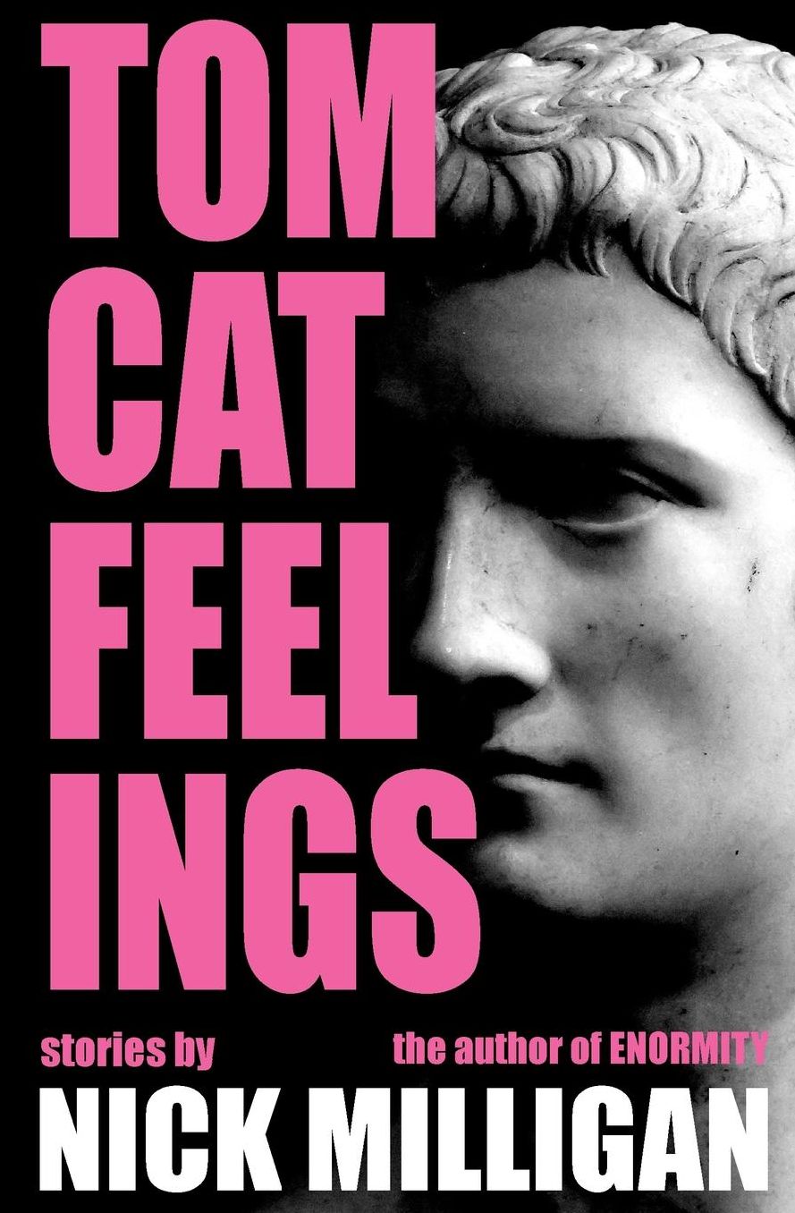 Tomcat Feelings