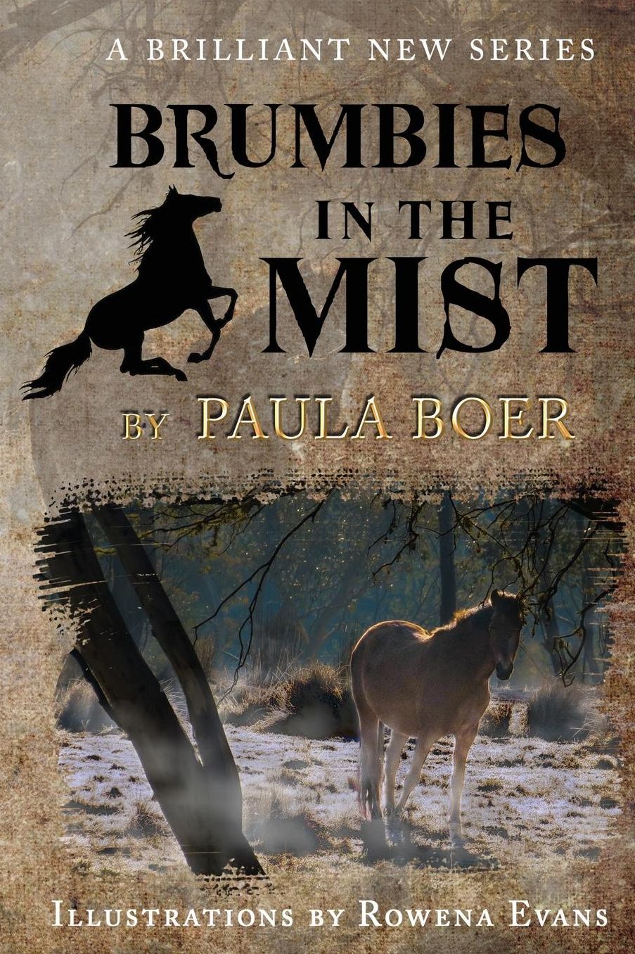 Brumbies In The Mist