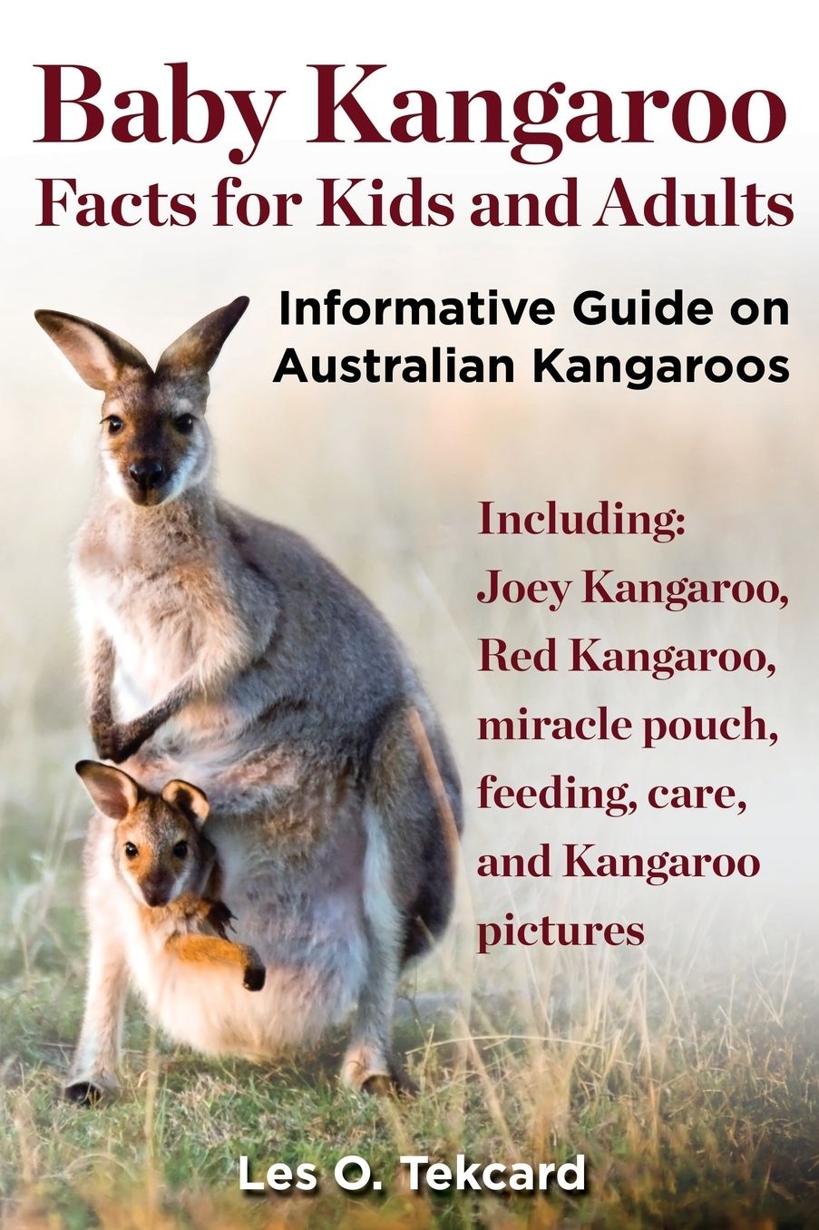 Baby Kangaroo Facts for Kids and Adults