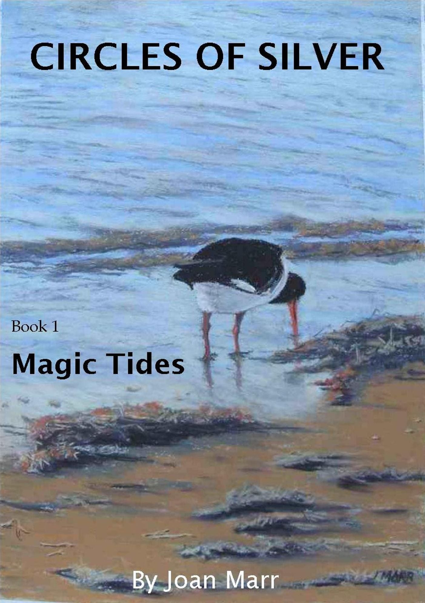 Magic Tides