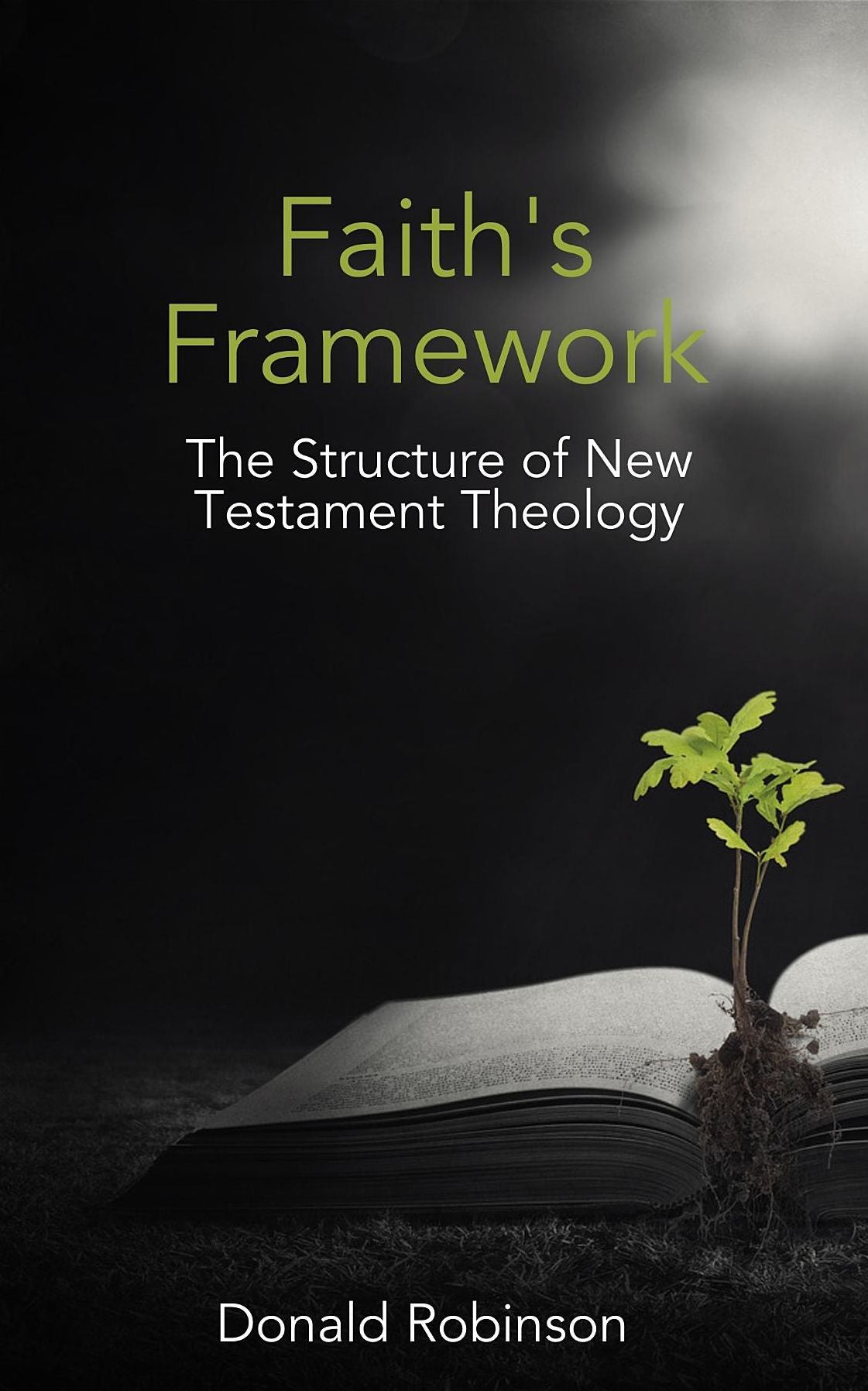 Faith's Framework: The Structure of New Testament Theology