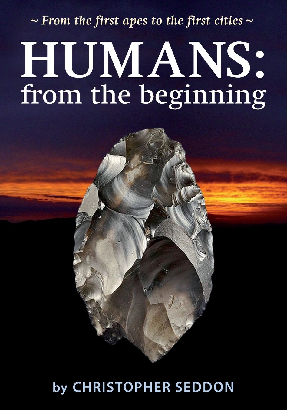Humans: from the beginning: From the first apes to the first cities