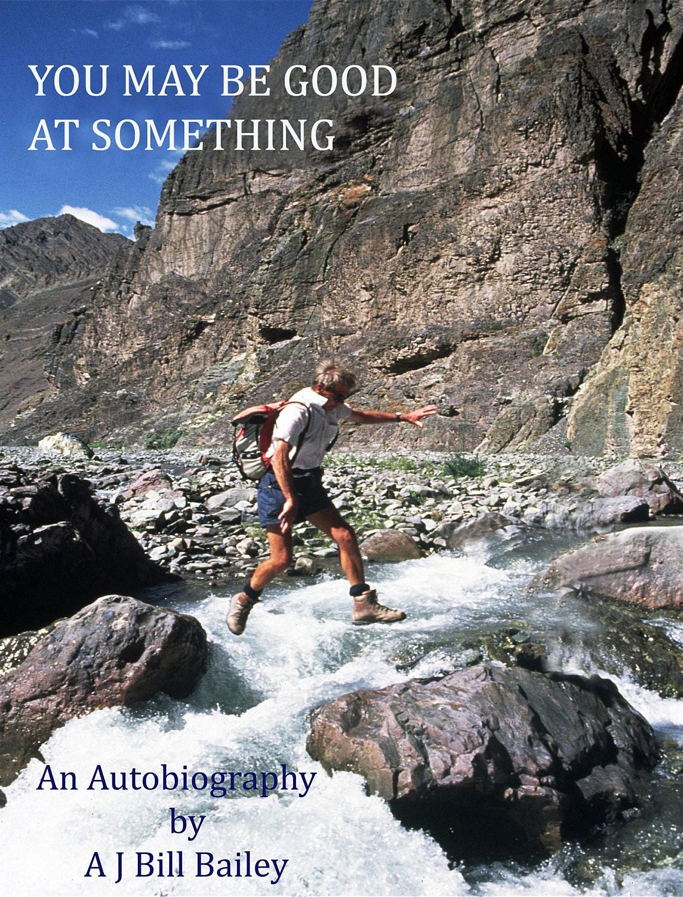 YOU MAY BE GOOD AT SOMETHING: an autobiography