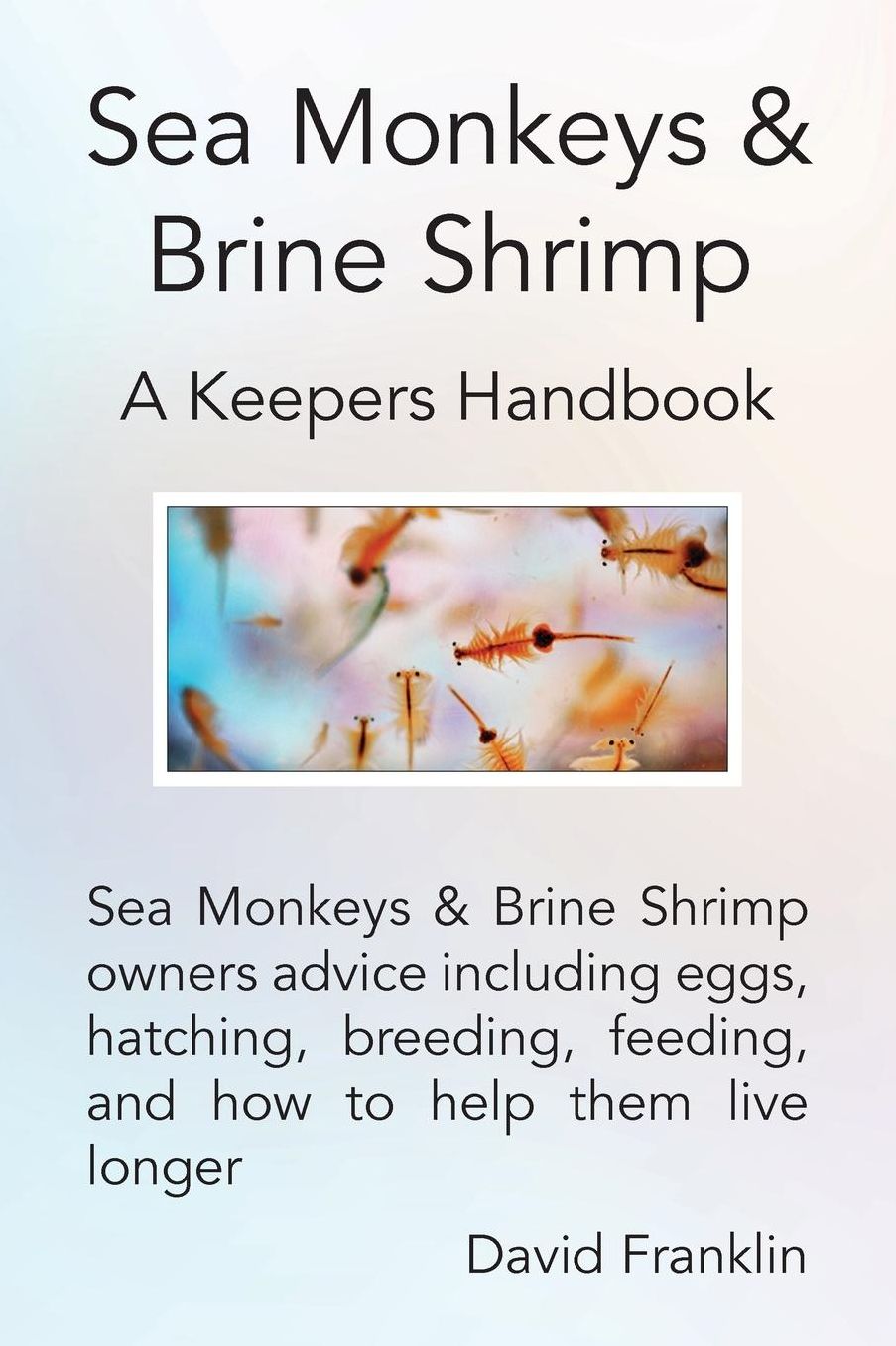 Sea Monkeys & Brine Shrimp: Sea Monkeys & Brine Shrimp owners advice including eggs, hatching, breeding, feeding and how to help them live longer