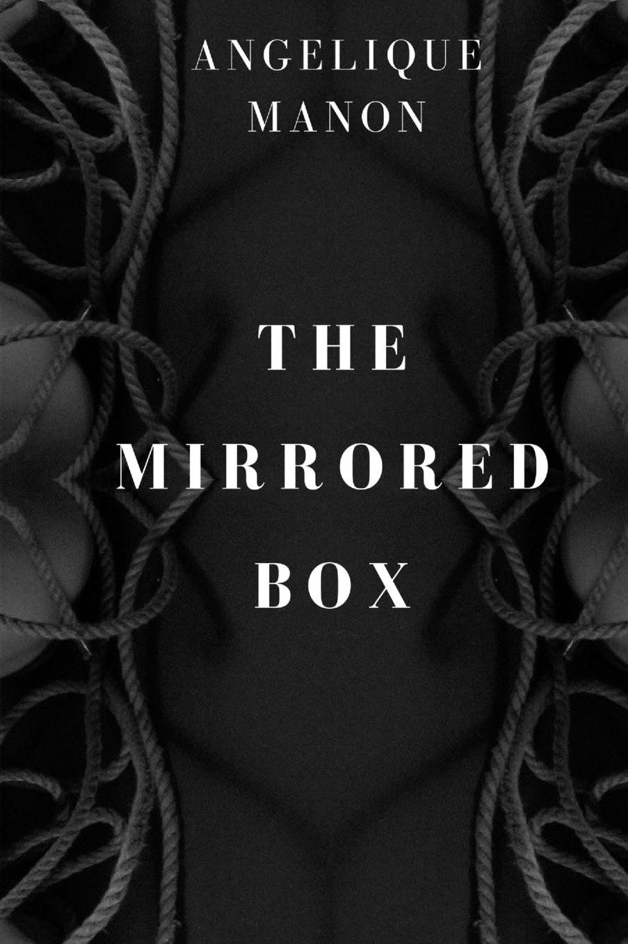 The Mirrored Box
