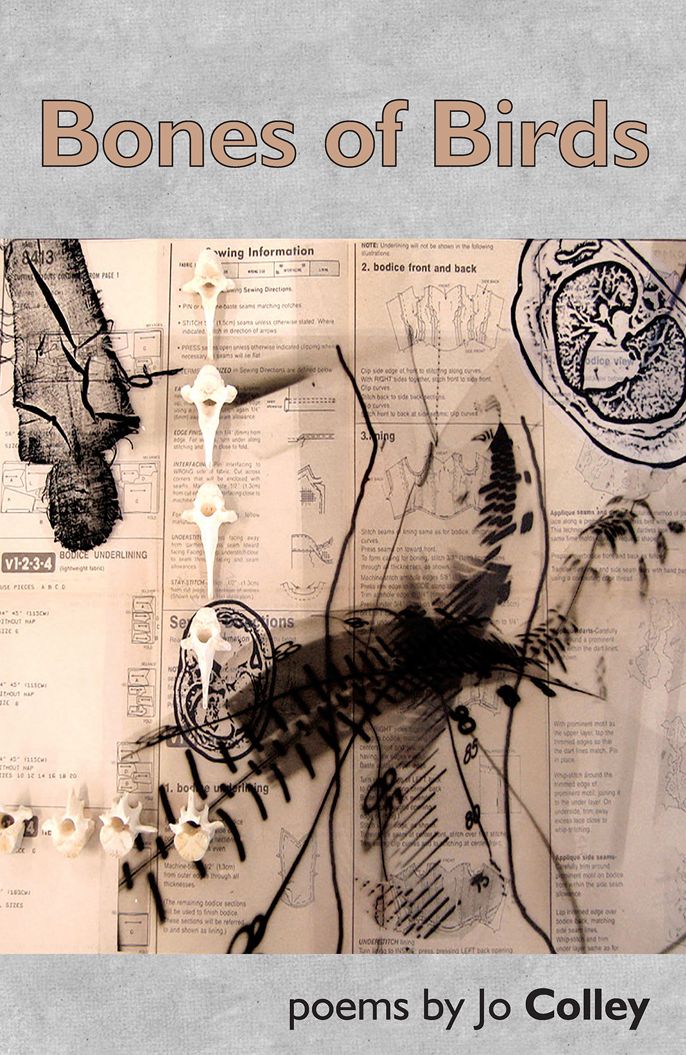 Bones of Birds