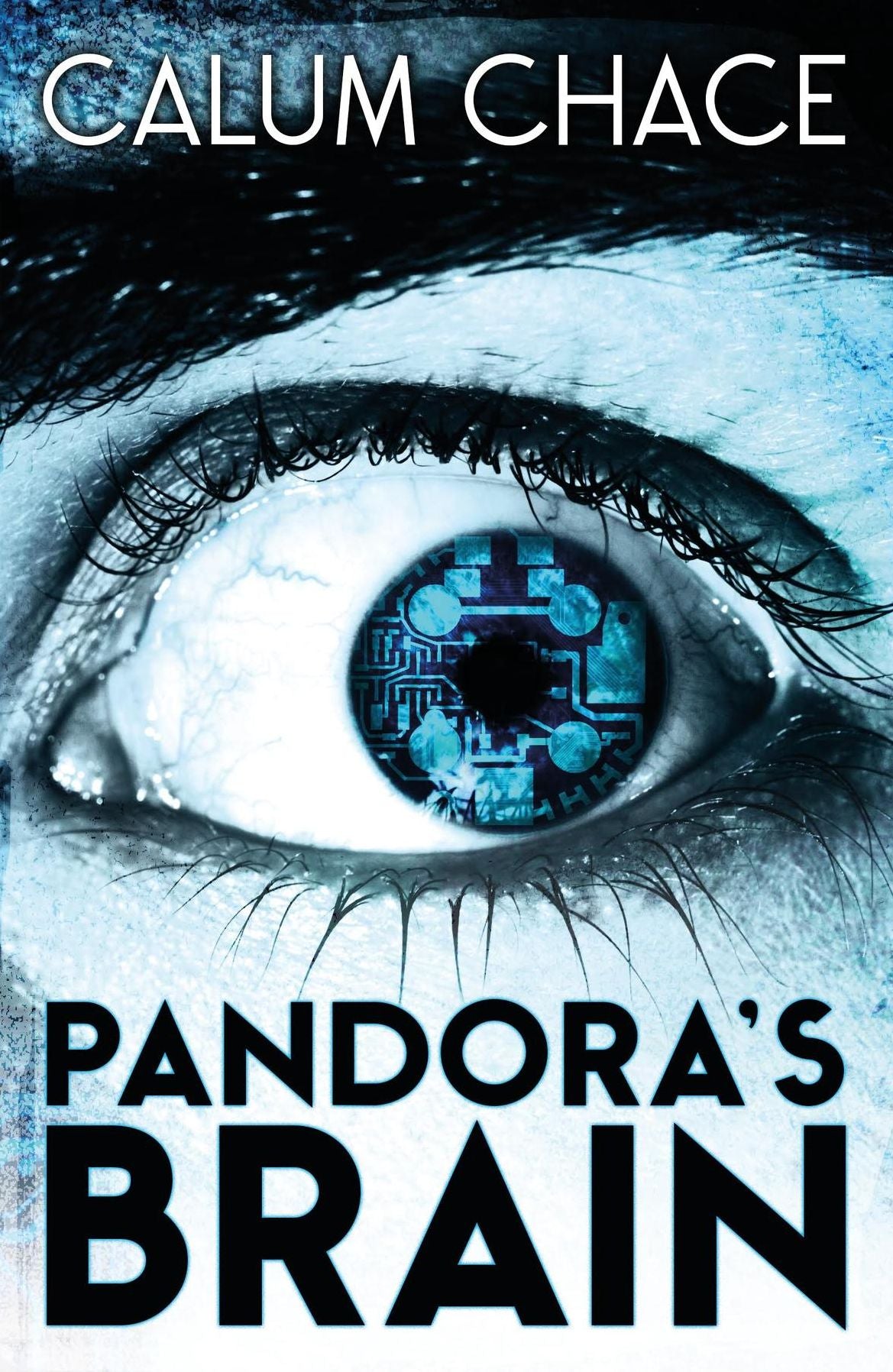 Pandora's Brain