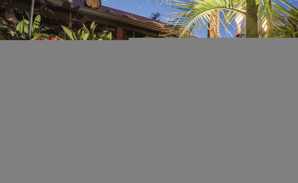 The Home Bar Guide To Tropical Cocktails: A Spirited Journey Through Suburbia's Hidden Tiki Temples
