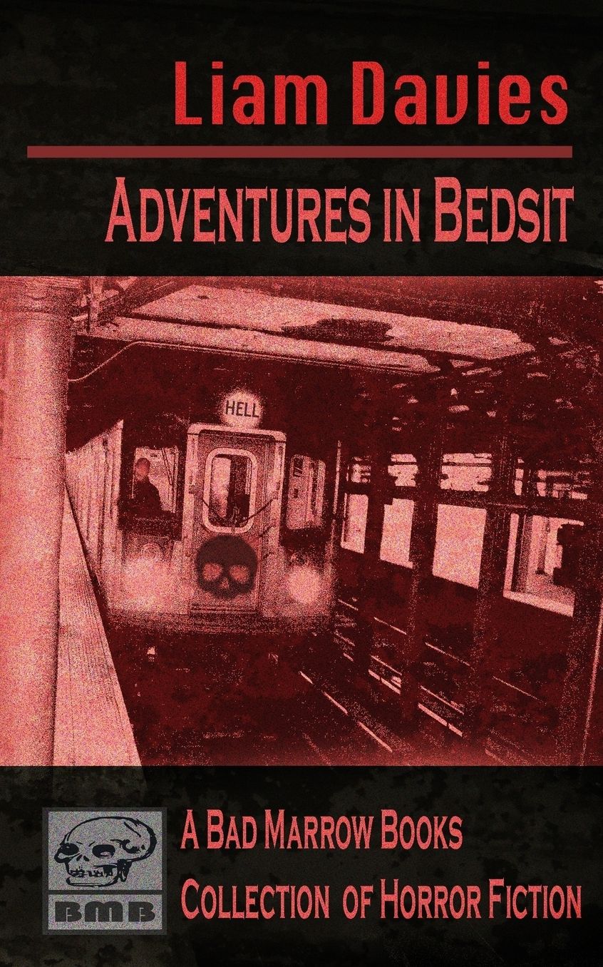 Adventures in Bedsit: a comic-horror novella and short story collection