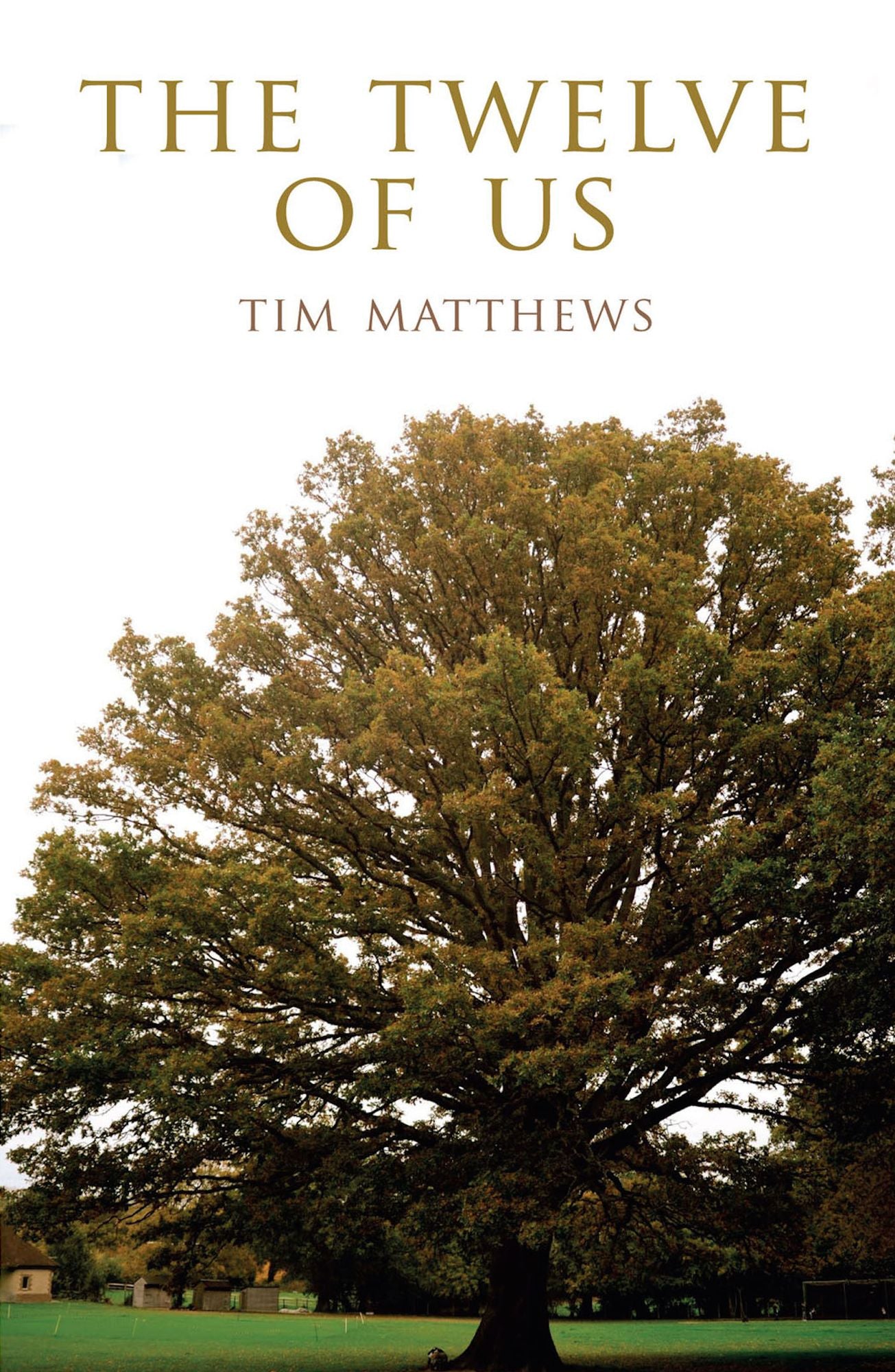The Twelve of Us